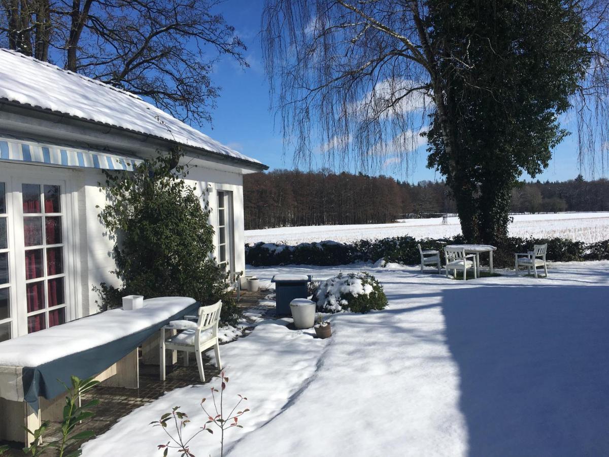 Budget-Unterkunft Im Wunderschonen Haus Mit Herrlichem Panoramablick Luneburgo Exterior foto